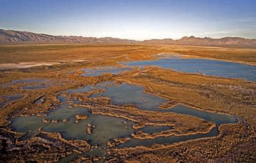 Los humedales de México
