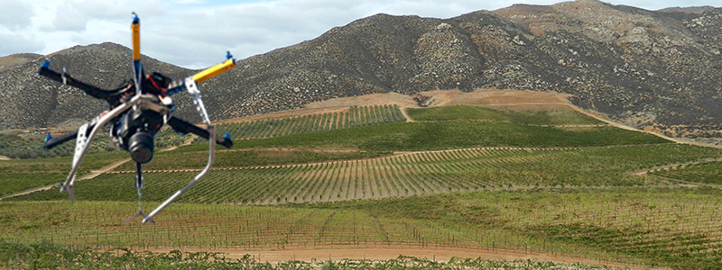 Drones sobrevuelan el campo mexicano