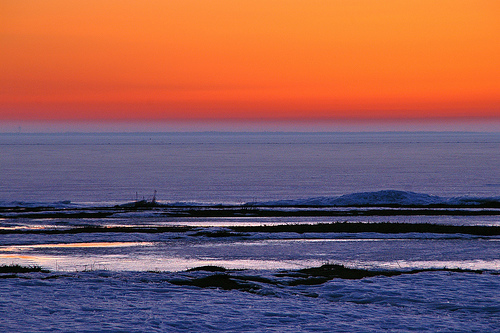 Los hallazgos en el Báltico se utilizarán para impulsar nuevas áreas marinas protegidas y mejoras en la gestión pesquera