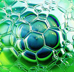 UE restringe el uso de fósforo en detergentes para proteger ecosistemas acuáticos