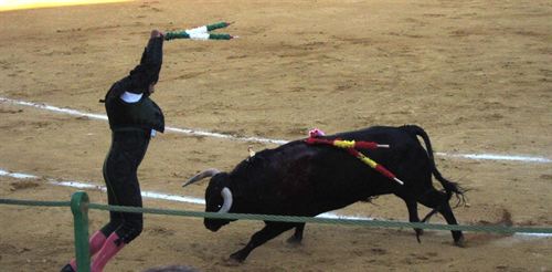 El Consejo Constitucional francés considera legales las corridas de toros