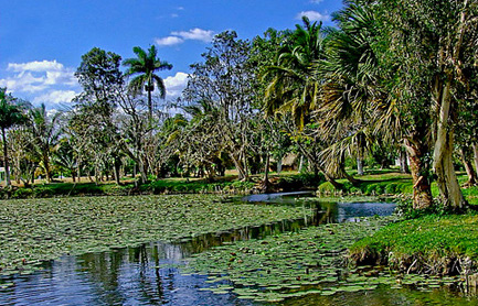 Progreso en protección de humedales en provincia cubana