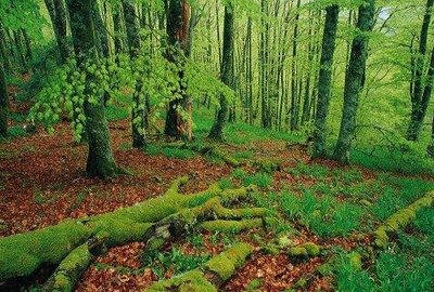 Ecologistas Extremadura asegura que esta ha sido una legislatura "perdida" en cuanto a la protección de espacios