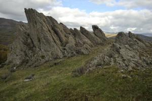 Premio Reserva de la Biosfera por municipios de la Sierra del Rincón Para el Diputado Luis del Olmo