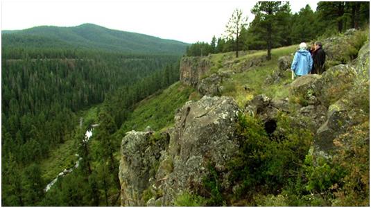 Aldo Leopold y la ética ambiental de nuestro tiempo