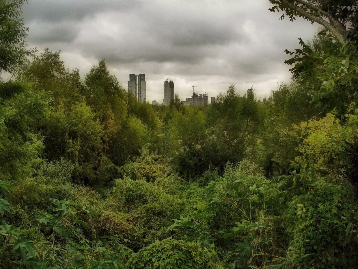 Un incendio arrasa parte de la Reserva Ecológica de Buenos Aires