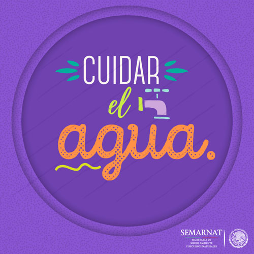 Cuáles son sus propósitos medioambientales para el 2017