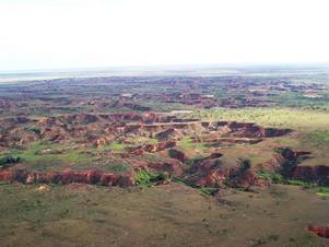 El hombre que construyo el bosque mas grande del mundo