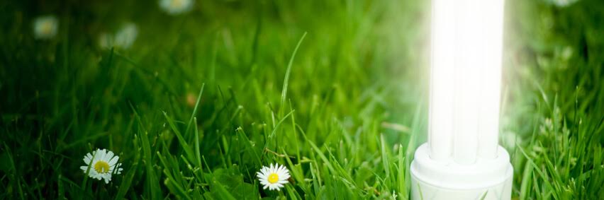 Máster en Eficiencia Energética y Sostenibilidad