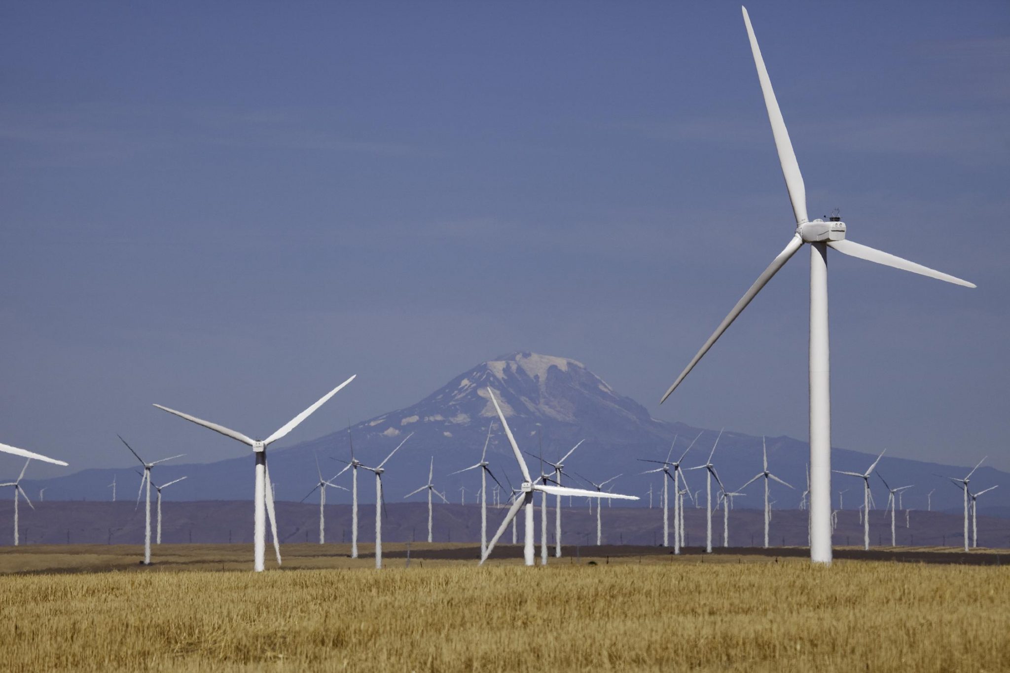 Iberdrola Ingeniería adjudica a Ormazabal un contrato de equipos eléctricos en Brasil por 5 millones