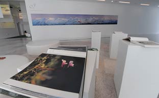 Sierra Nevada y la Sierra de Andújar certifican su adhesión a la Carta Europea de Turismo Sostenible