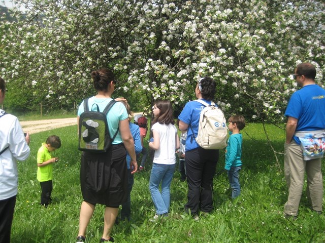 Medio Ambiente celebra esta semana en Murcia el Día Europeo de los Parques
