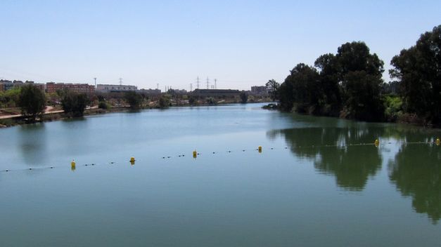 El recurso de WWF contra la DIA del proyecto Actuaciones de mejora de accesos marítimos al Puerto de Sevilla ‘desestimado’