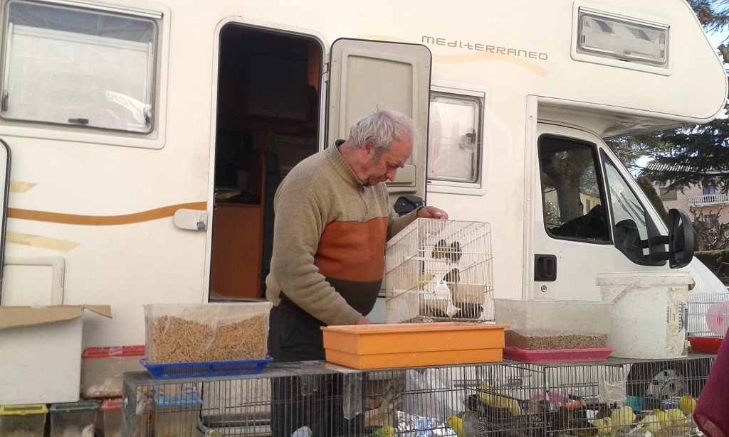 Venta ilegal de animales en el mercado dominical de Artesa de Segre