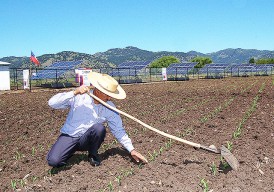 Paneles solares permitirán extraer agua aplicando energía renovable