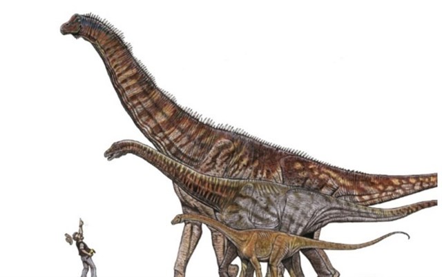 Descubren en Sao Paulo el dinosaurio más grande de Brasil con una altura de 25 metros