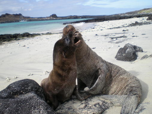 Islas Galápagos