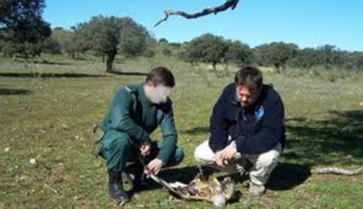 España contribuye a la lucha internacional contra el uso de cebos envenenados en el campo