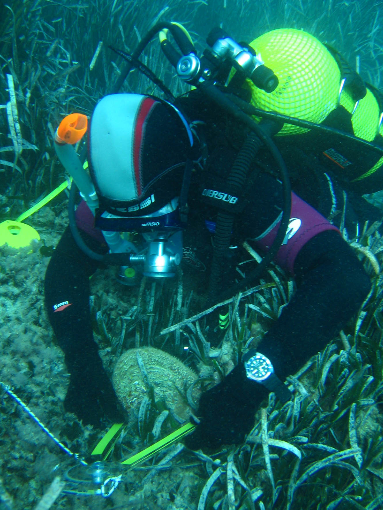 El Instituto de Ecología Litoral finaliza el proyecto “NACRA