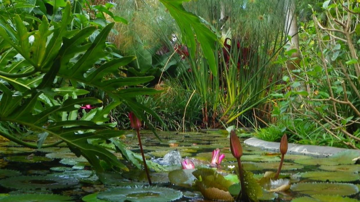 Gobernador Scott propone "inversiones históricas" para el medio ambiente