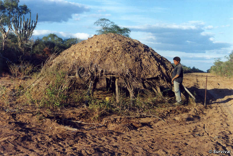 Paraguay. Los ganaderos "pillados" vía satélite