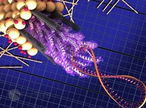 Engineered virus organizes carbon nanotube growth for better solar cell