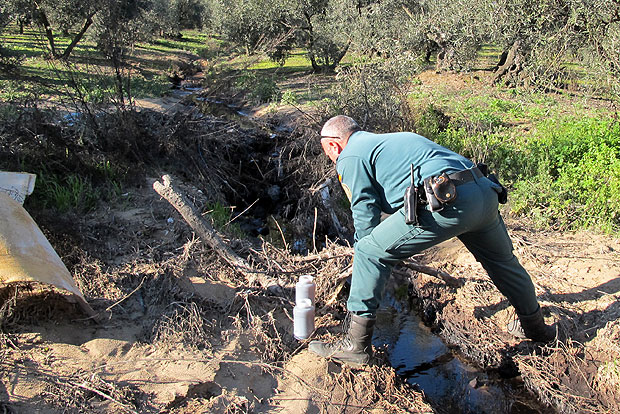 4 cachorros abandonados en un pozo en Teruel