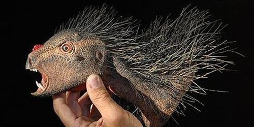 Nueva especie. Dinosaurio de pequeño tamaño