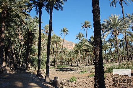 Soluciones sostenibles como punto de partida