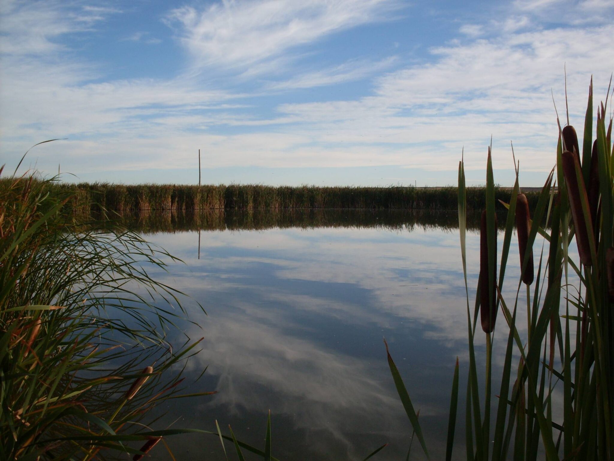Investigan el estado ecológico de los humedales de la cuenca del Duero en la provincia de Ávila
