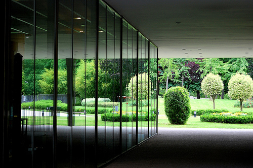 El concepto verde va adquiriendo importancia: La biodiversidad está entrando a la agenda corporativa