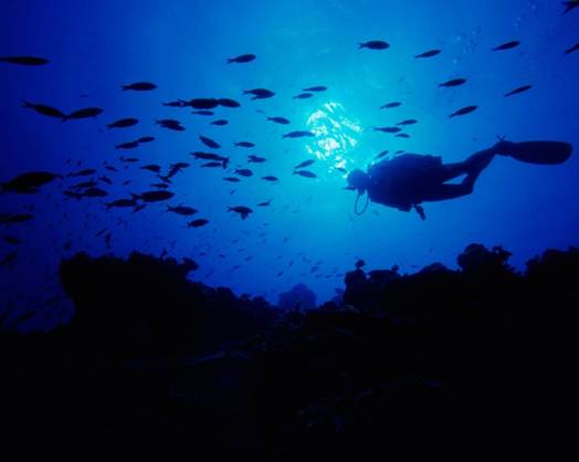 Gandia (Valencia) implementará un arrecife artificial frente a la costa para practicar buceo
