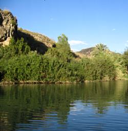 Los pantanos de la cuenca del Segura disminuyen su capacidad en tres hectómetros cúbicos en la última semana
