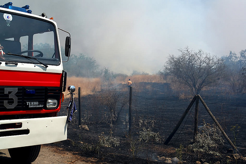 Destacan la colaboración de las administraciones en la extinción de los incendios forestales
