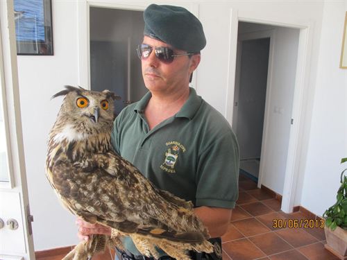 Incautan en Peñiscola 123 animales exóticos de supuesto contrabando en Castellón