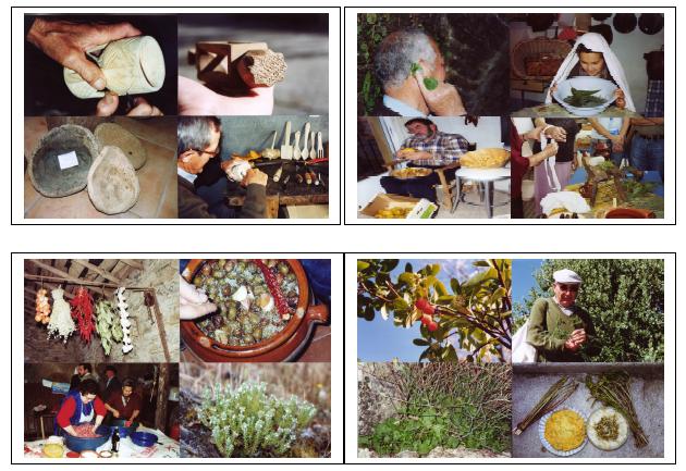 Etnobotánica Monfragüe