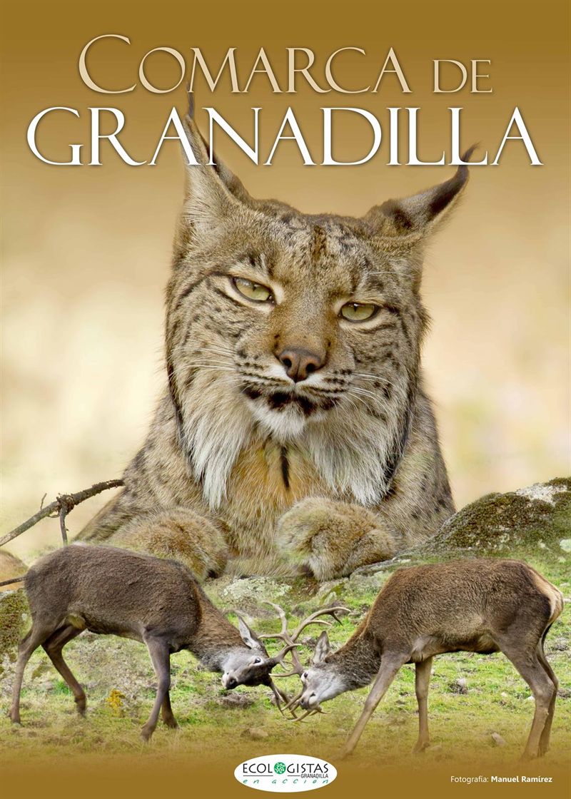 Arranca una campaña de sensibilización sobre el lince