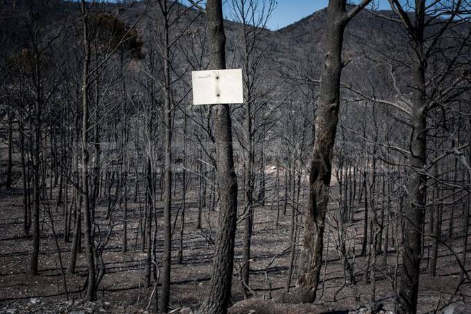 Cárcel para el autor de los incendios forestales en El Real de San Vicente (Toledo)
