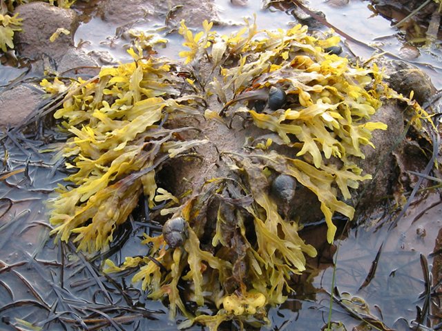 Atacar al medio ambiente se paga caro