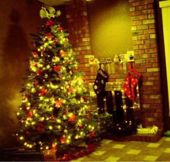 Aimplas recomienda el uso y la compra de árboles de Navidad de plástico para su reutilización