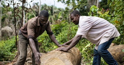 La certificación FSC conduce a una mejora de las condiciones de los habitantes de la Cuenca del Congo