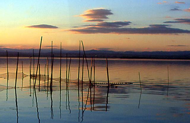 Medio Ambiente promete acelerar la redacción del nuevo plan rector de L’Albufera