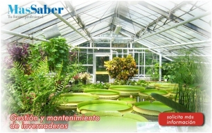 Te gustaría aprender a gestionar y mantener invernaderos