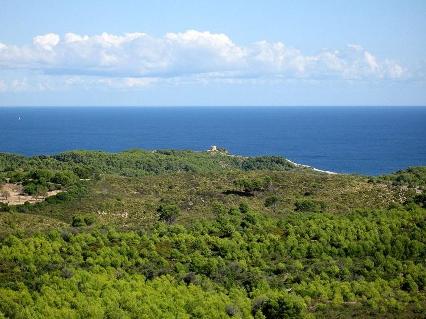 Mallorca. El águila pescadora nidifica en el Parque Natural de Llevant