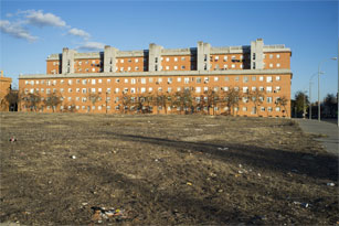 Sevilla ‘atiborrada’ de herbicidas