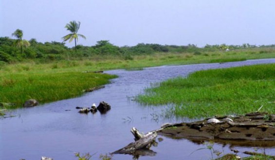 Costa Rica comprometida con rehabilitar humedales para combatir el calentamiento global