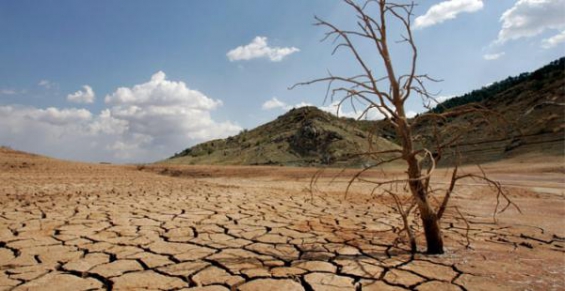 Emergencia nacional por sequía y falta de agua