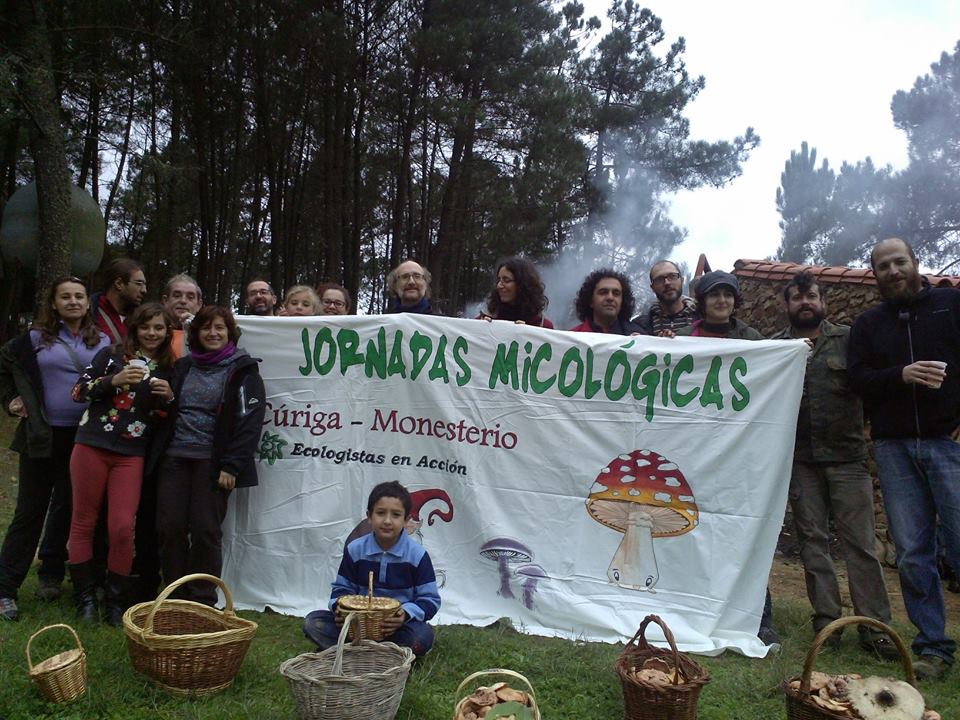 XV Migas micológicas