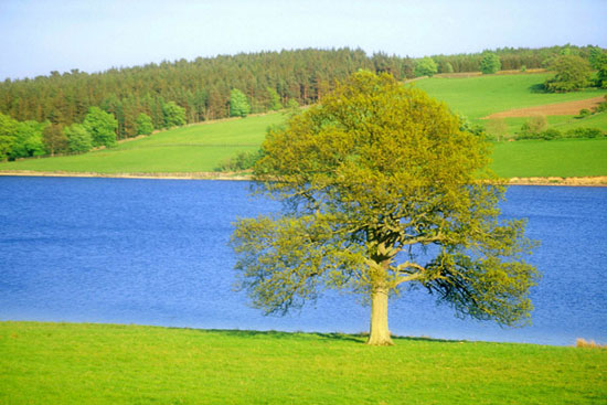 Alcanzado un acuerdo para la protección del medio ambiente