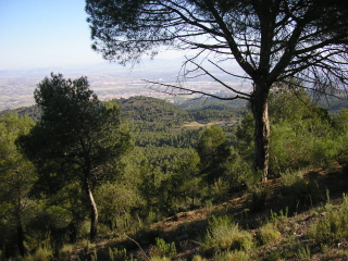 “Trabajamos muy duro por conservar la biodiversidad”
